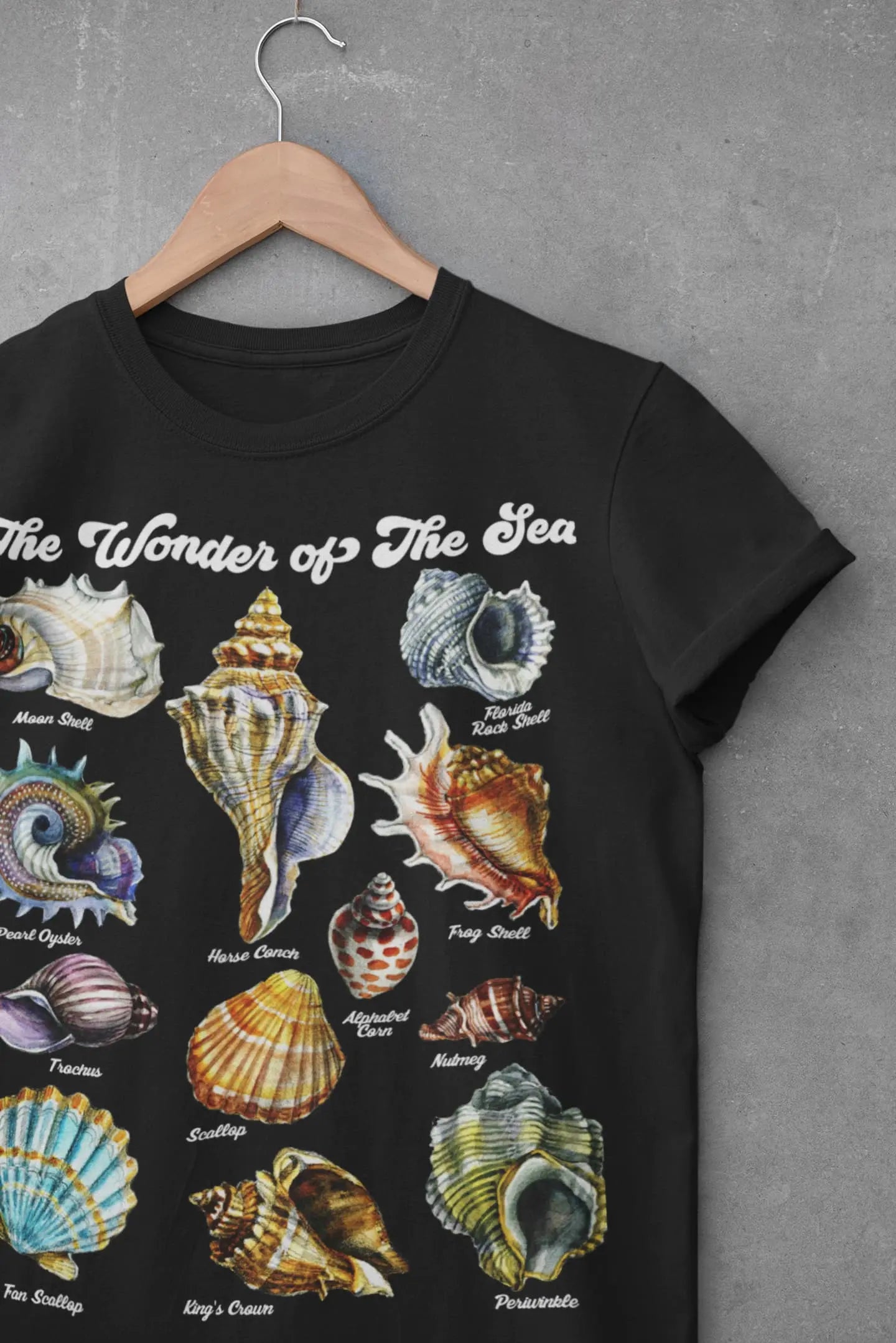 Seashell Graphic Tee Shirt, Hoodie Sweatshirt